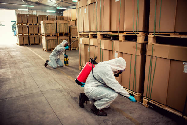 Best Exterminator Services  in Blue Ridge, VA