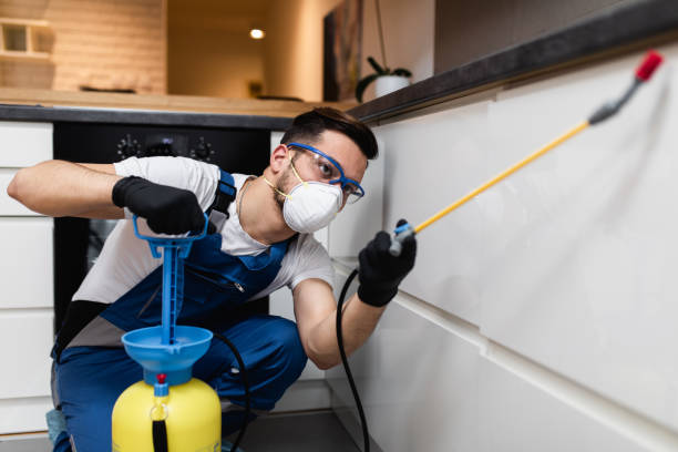 Best Pest Inspection Near Me  in Blue Ridge, VA