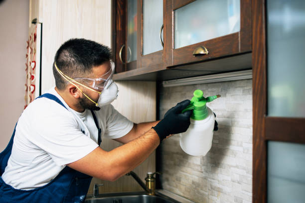 Best Commercial Pest Control Services  in Blue Ridge, VA