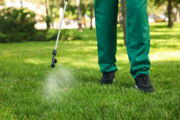 Best Pest Prevention Services  in Blue Ridge, VA