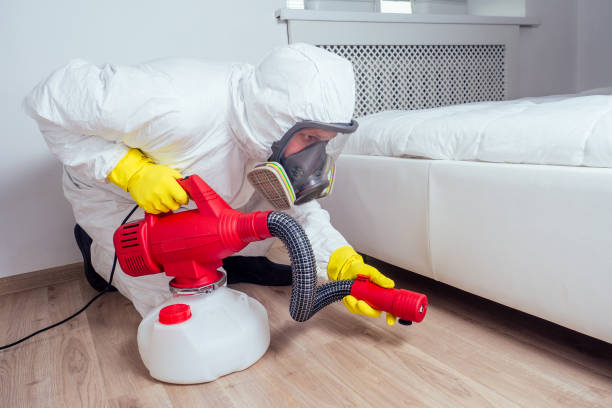 Best Best Pest Control Near Me  in Blue Ridge, VA