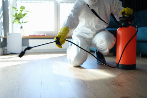 Best Insect Control  in Blue Ridge, VA