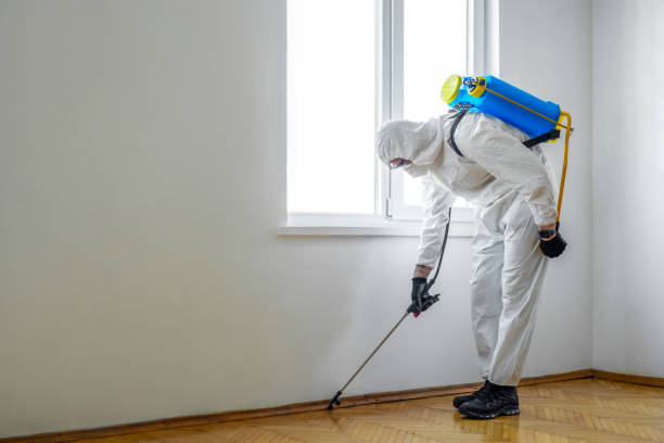 Best Pest Removal Services  in Blue Ridge, VA