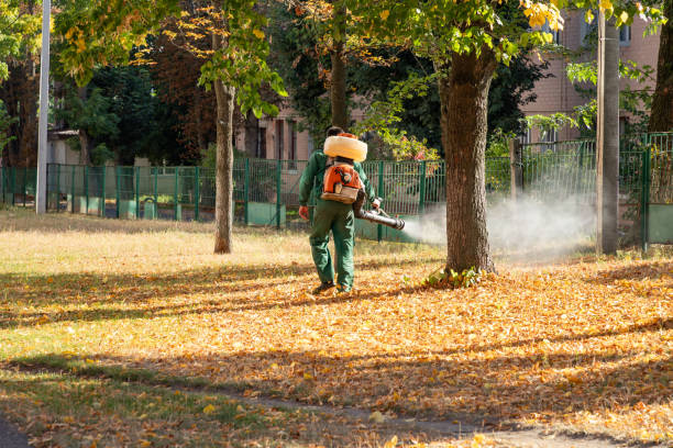 Bird Control in Blue Ridge, VA