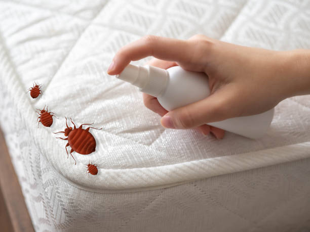 Best Best Pest Control Companies  in Blue Ridge, VA