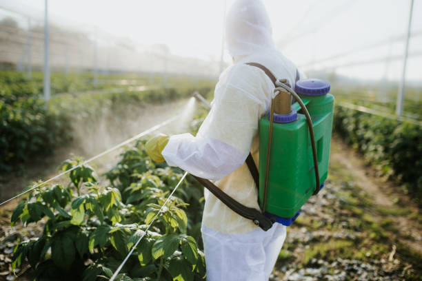 Best Mosquito Control Services  in Blue Ridge, VA